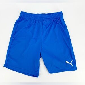 Puma Men's Vibrant Blue Sports Shorts